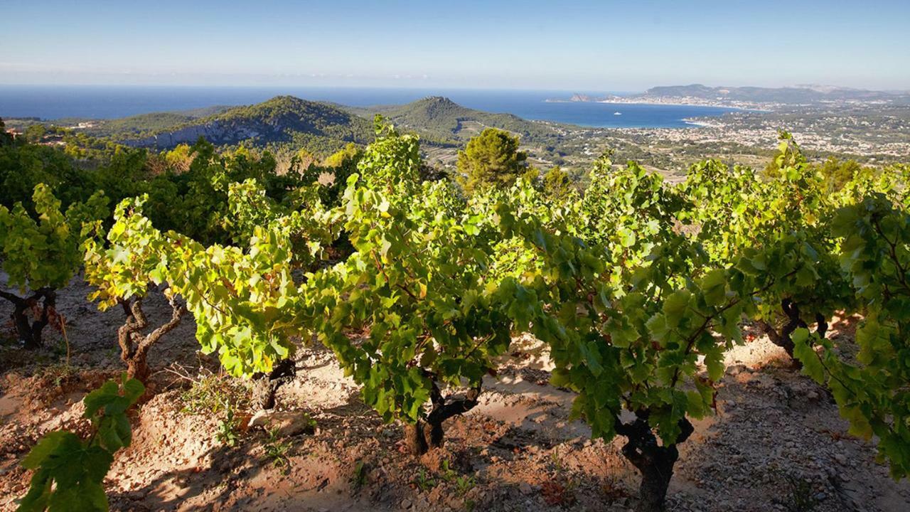 Le Belvedere Bandol Ngoại thất bức ảnh